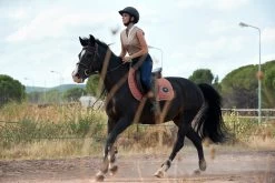 100 Light Horse Riding Tights - W -Outdoor Adventure Shop 100 light horse riding tights w 11