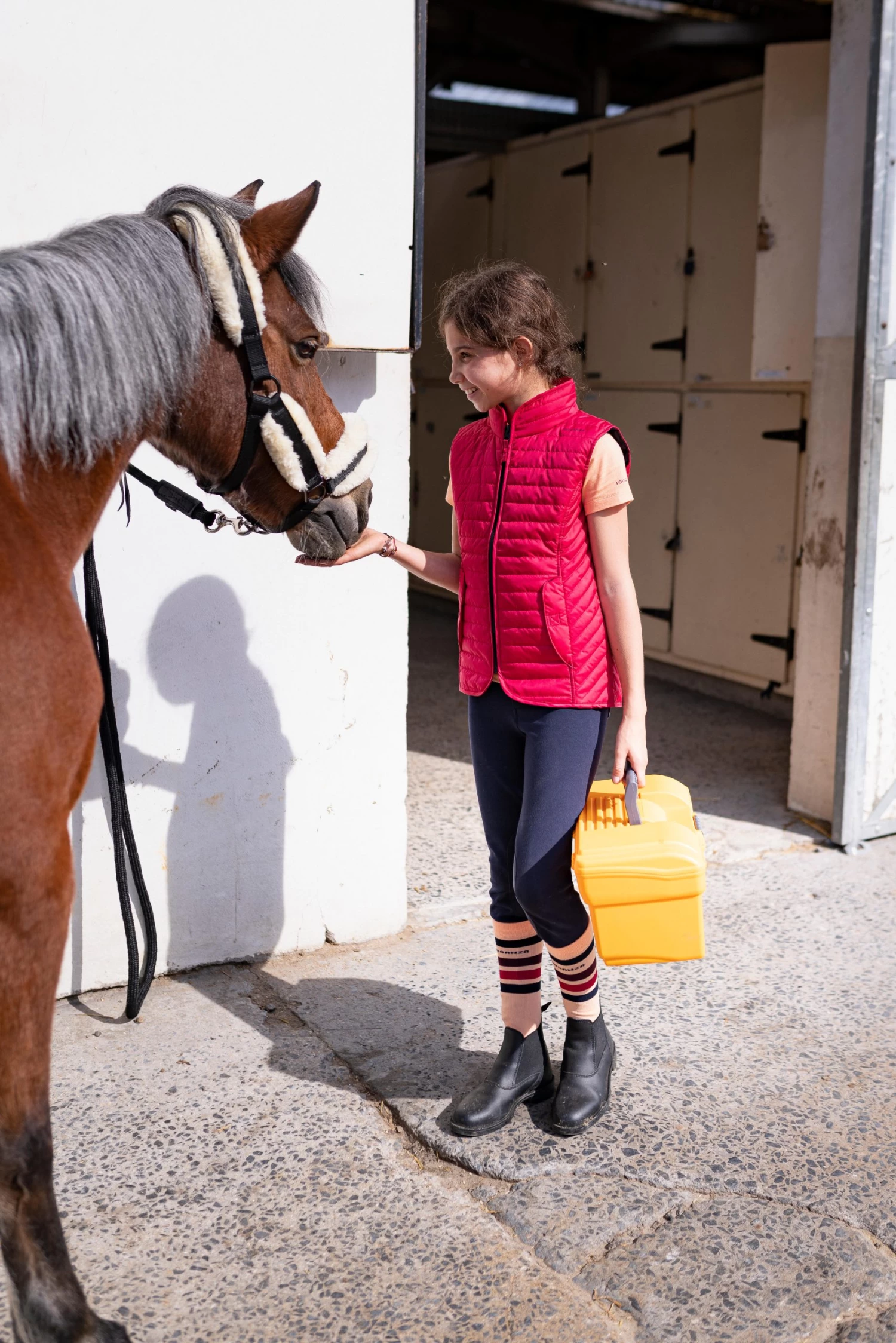 300 Horse Riding Grooming Case 6 300 Horse Riding Grooming Case - Image 4