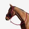 Horse Riding Halter + Leadrope Kit Comfort For Horse & Pony 2 Horse Riding Halter + Leadrope Kit Comfort For Horse & Pony -Outdoor Adventure Shop horse and pony riding halter leadrope kit comfort pink blue