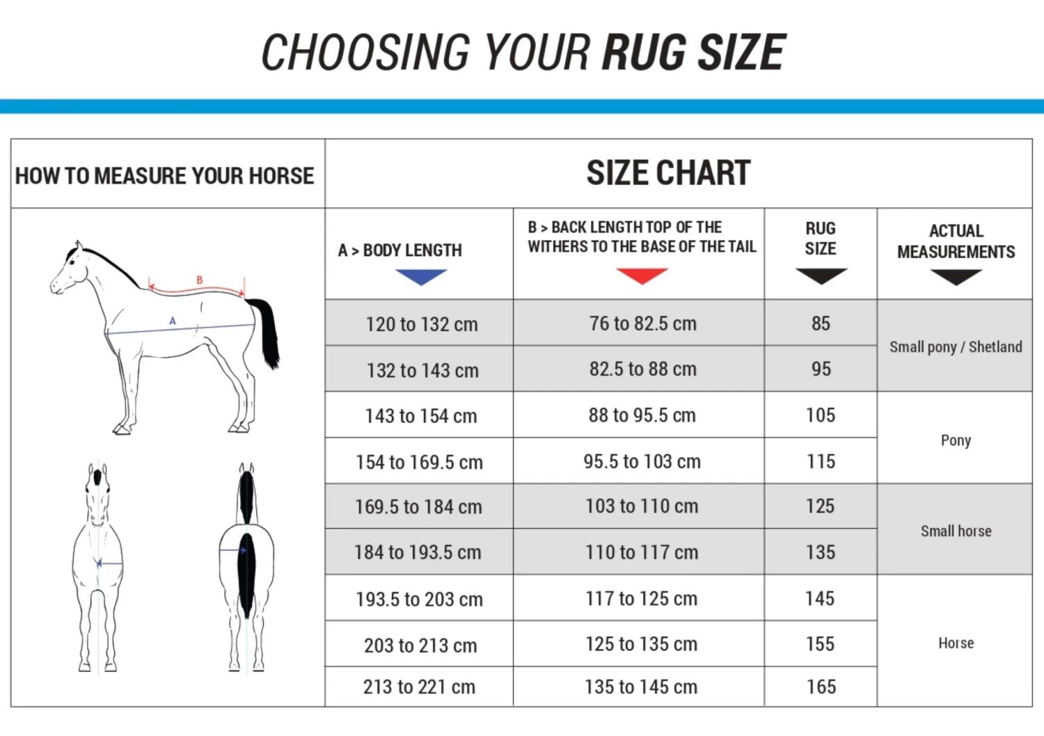 Horseback Riding Turnout Sheet 4 Horseback Riding Turnout Sheet - Image 2