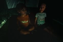 Quechua Kids’ Hiking T-Shirt- MH 100 Brown -Outdoor Adventure Shop kids hiking t shirt mh 100 brown 6