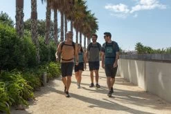 Quechua Men’s Hiking Shorts - NH 500 Grey -Outdoor Adventure Shop mens hiking shorts nh 500 grey 6