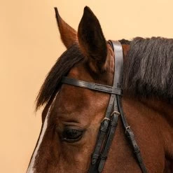 Horse & Pony Riding Leather Bridle With French Noseband & Reins - 100 Black -Outdoor Adventure Shop schooling horse and pony riding bridle reins black leather 6
