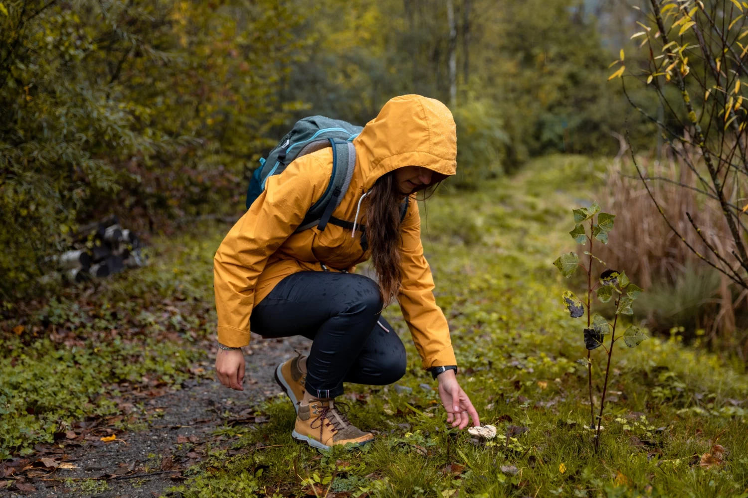Quechua Women’s Hiking Pants - NH 500 Grey 13 Quechua Women’s Hiking Pants - NH 500 Grey - Image 11