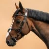 XNB 580 Bridle With Grackle Noseband